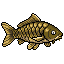 Carp
