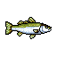 Dace